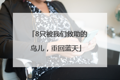 8只被我们救助的鸟儿，重回蓝天