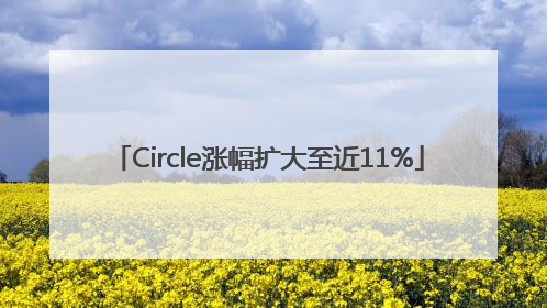 Circle涨幅扩大至近11%