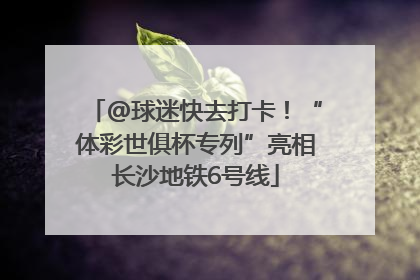 @球迷快去打卡！“体彩世俱杯专列”亮相长沙地铁6号线