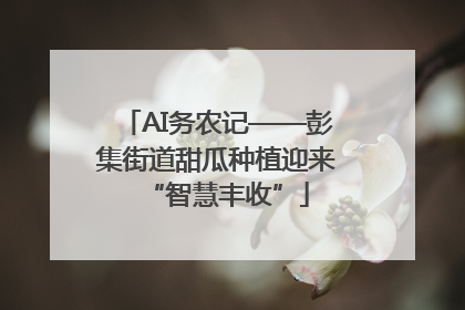 AI务农记——彭集街道甜瓜种植迎来“智慧丰收”