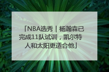 NBA选秀｜杨瀚森已完成11队试训，凯尔特人和太阳更适合他