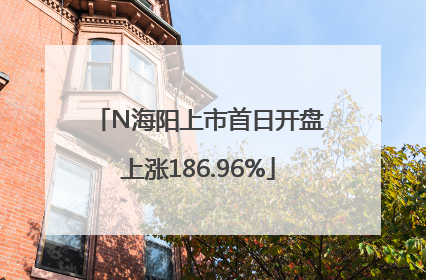 N海阳上市首日开盘上涨186.96%