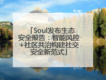 Soul发布生态安全报告：智能风控+社区共治构建社交安全新范式