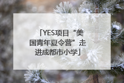 YES项目“美国青年夏令营”走进成都市小学